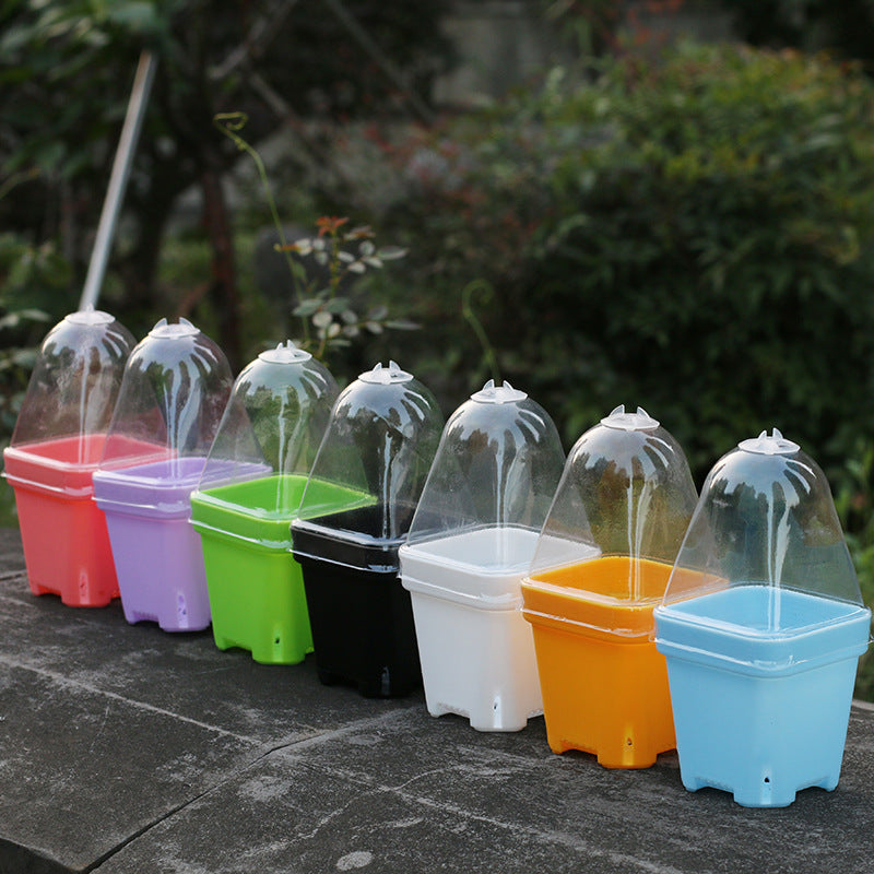 Thickened large and small square matching transparent cover fleshy flowerpot plastic stuffy heat preservation cover heat preservation and moisture preservation - image 5