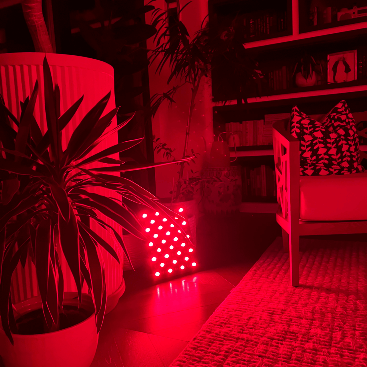 Red Light Therapy Panel