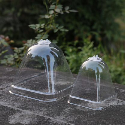 Thickened large and small square matching transparent cover fleshy flowerpot plastic stuffy heat preservation cover heat preservation and moisture preservation - image 1