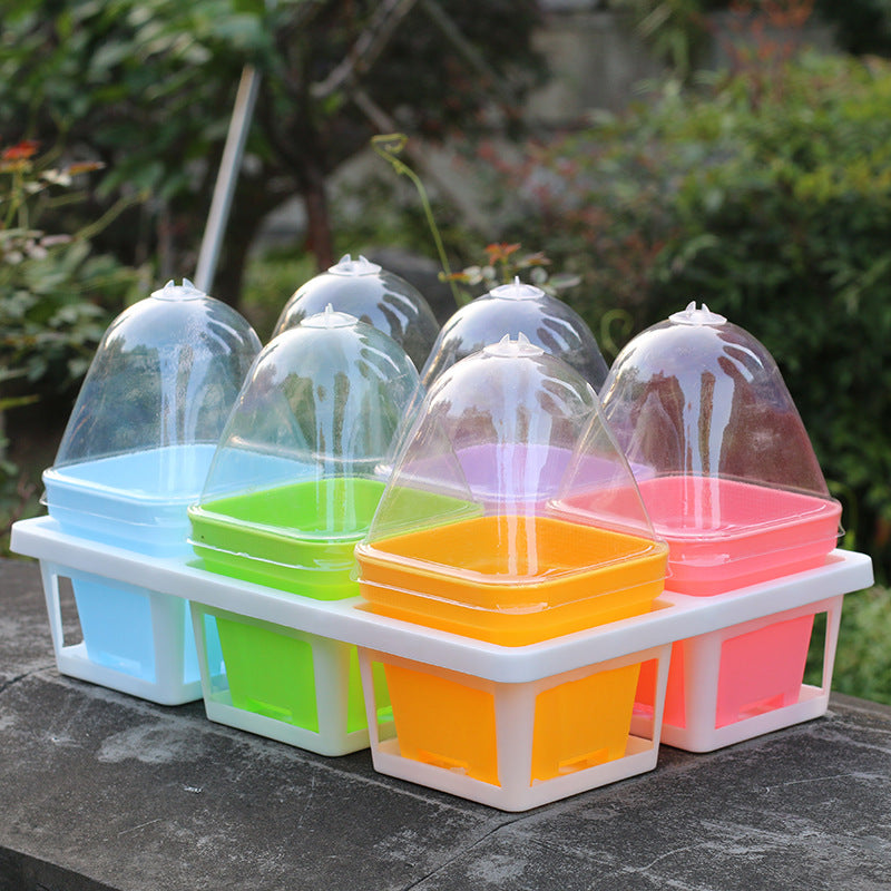 Thickened large and small square matching transparent cover fleshy flowerpot plastic stuffy heat preservation cover heat preservation and moisture preservation - image 3