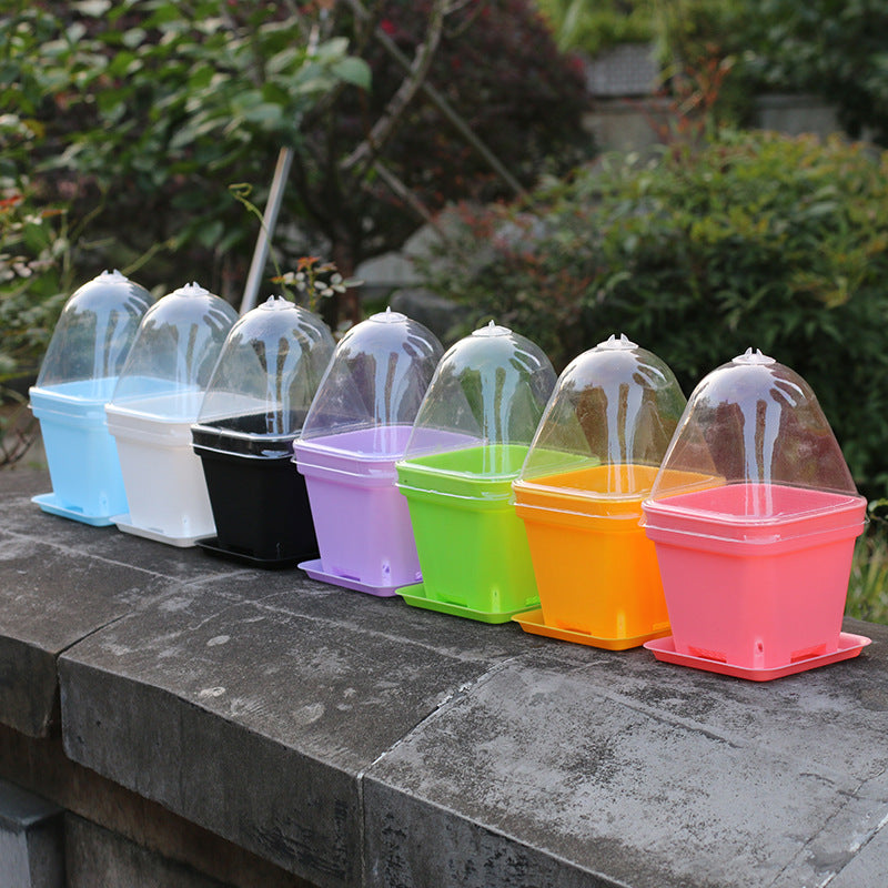 Thickened large and small square matching transparent cover fleshy flowerpot plastic stuffy heat preservation cover heat preservation and moisture preservation - image 4