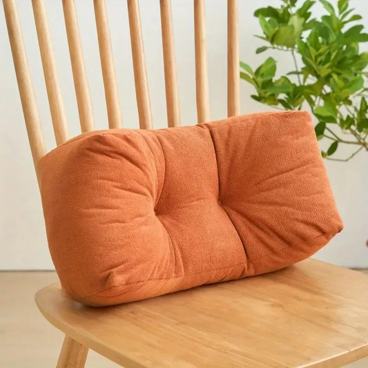Lumbar Support Pillow